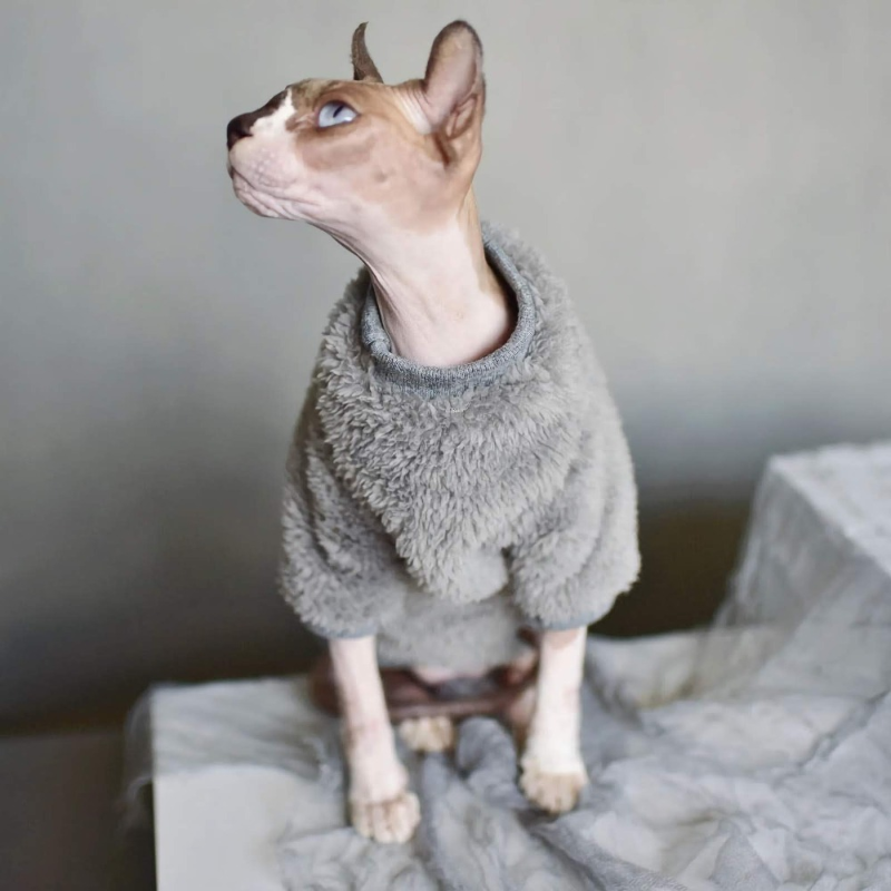 Cat's Winter Wardrobe with DUOMASUMI Winter Sweater for Sphynx Cat